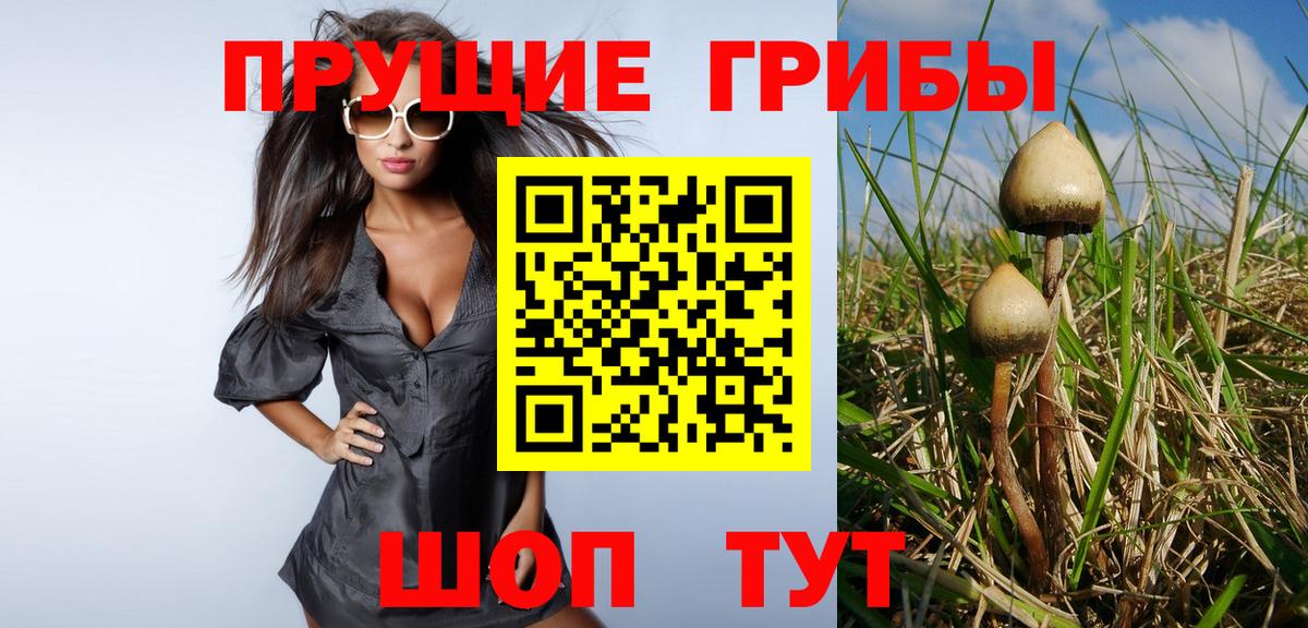 Галлюциногенные грибы мухоморы Шебекино