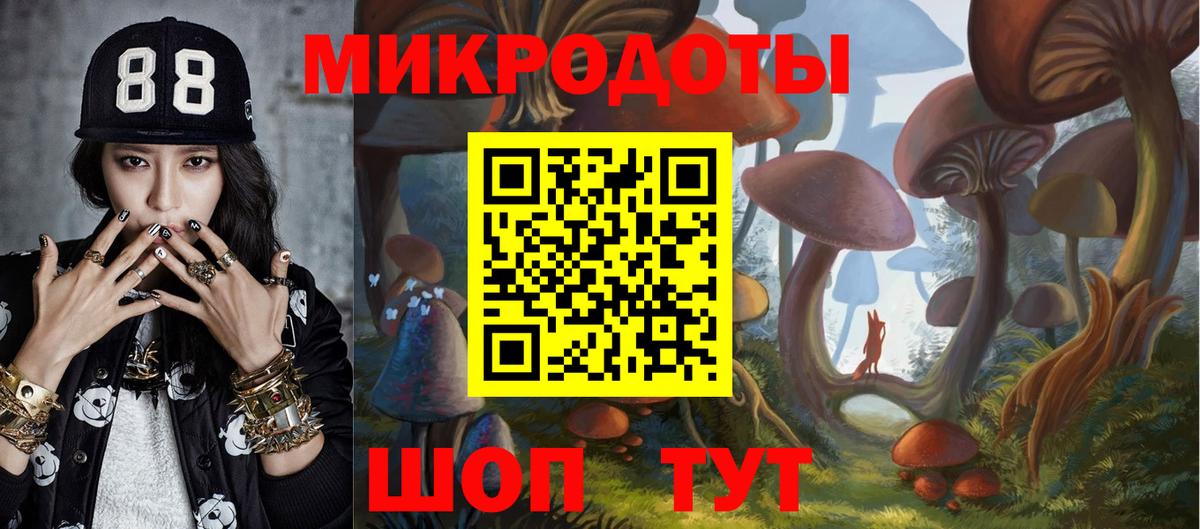 Шебекино  Псилоцибиновые грибы Psilocybine cubensis  Галлюциногенные грибы Psilocybe  Вход с VPN 