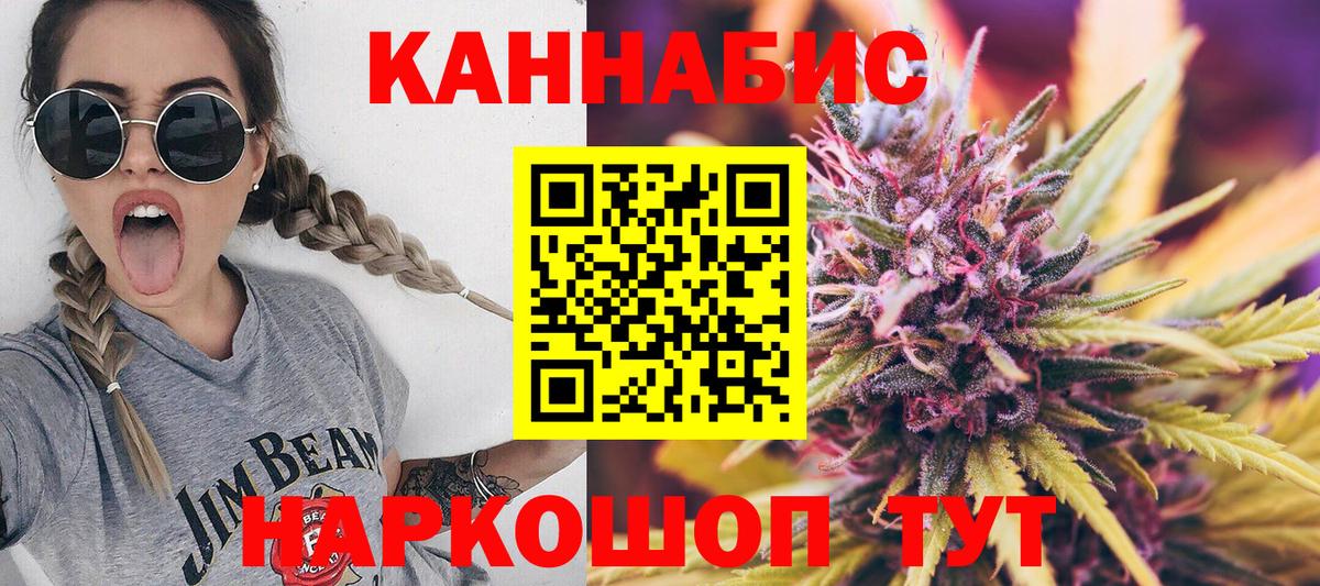 Конопля план Шебекино